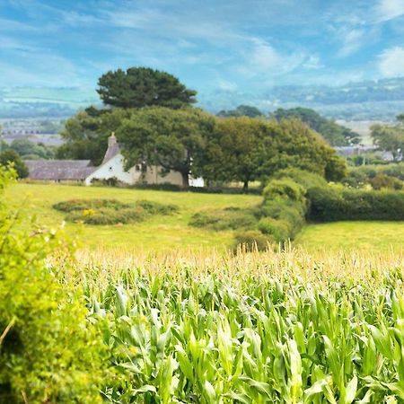 Tan Yr Allt Llangadwaladr  외부 사진