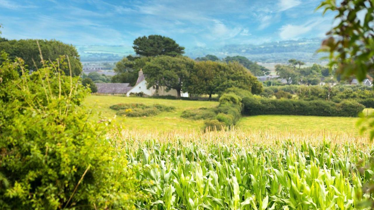 Tan Yr Allt Llangadwaladr  외부 사진